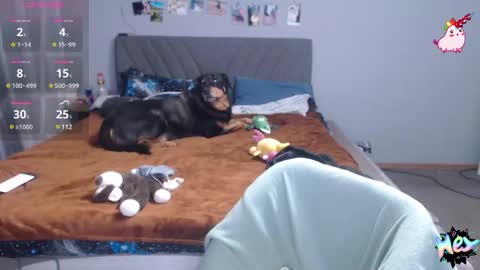 Anadirectgirl online show from February 25, 7:03 pm