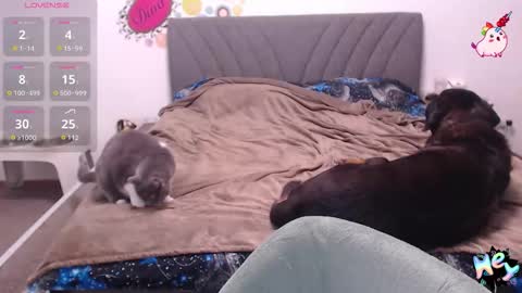 Anadirectgirl online show from January 8, 6:10 pm