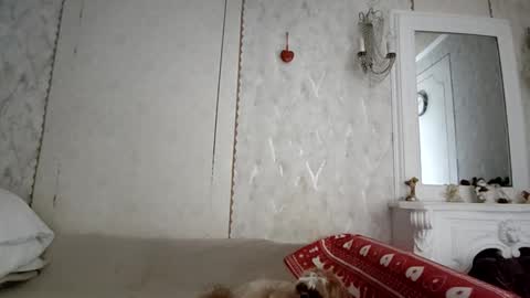 Anna online show from December 4, 6:23 am