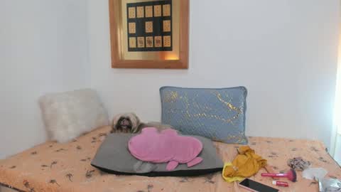 Snapshot of annavalente_ chatting on February 26, 5:07 pm anna online show from February 26, 5:07 pm