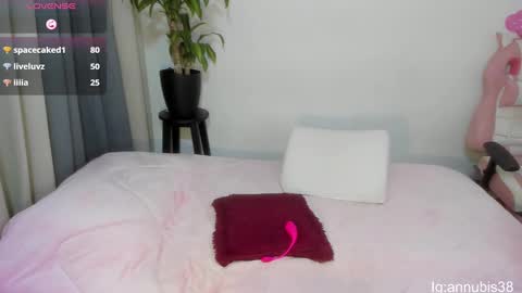 SOFIA INDEPENDENT MODEL online show from February 18, 7:21 am