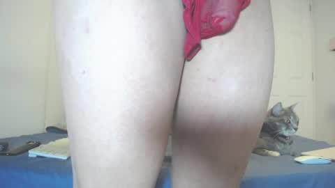 Snapshot of anny_bunny1 chatting on July 11, 6:43 pm INDEPENDENT MODEL next srteam 240624 online show from July 11, 6:43 pm