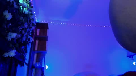 Snapshot of anny_kiitty_ chatting on January 31, 7:11 pm Anny online show from January 31, 7:11 pm