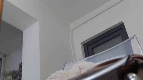 Snapshot of annyarose chatting on December 2, 11:45 am Anna online show from December 2, 11:45 am