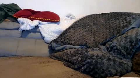 anonymousex15 online show from November 30, 12:42 pm