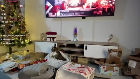 Anyi  Orion and Pyxis online show from January 7, 3:24 am