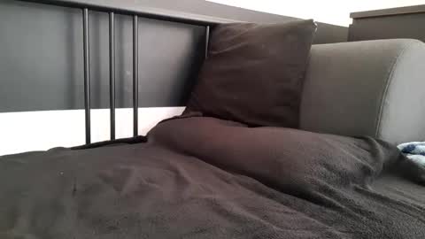 apollobest77 online show from November 6, 2:40 pm