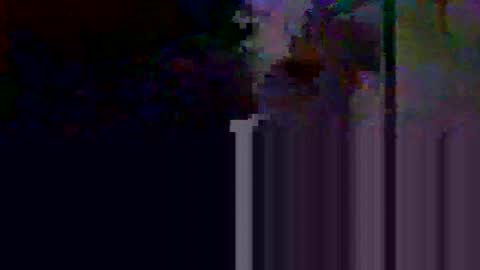 Snapshot of apolosimanu38 chatting on May 10, 8:58 pm apolosimanu38 online show from May 10, 8:58 pm
