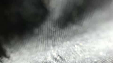 Snapshot of arantza_hill chatting on June 17, 8:21 pm Arantza Hill online show from June 17, 8:21 pm
