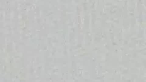 Ari online show from June 6, 9:03 am