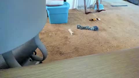 Snapshot of armalite16 chatting on October 12, 1:32 pm armalite16 online show from October 12, 1:32 pm