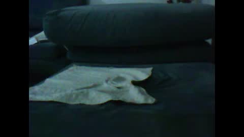 Snapshot of artanm2 chatting on January 9, 6:47 pm natra online show from January 9, 6:47 pm