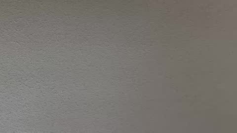 Snapshot of ash123400000 chatting on February 12, 10:27 pm ash123400000 online show from February 12, 10:27 pm