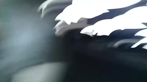 asiancreamy4u online show from December 6, 4:58 am