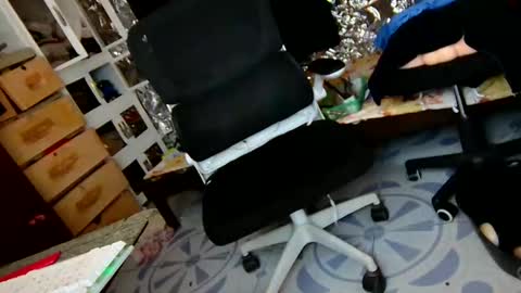 Trish online show from December 1, 6:07 am