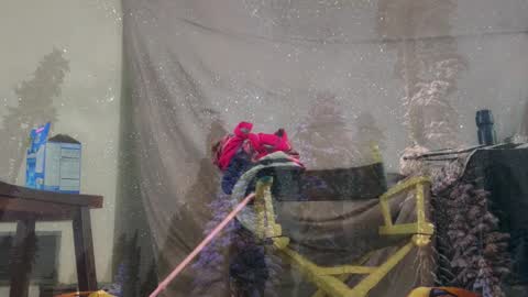 aspiringturtlegirl online show from March 4, 3:40 pm