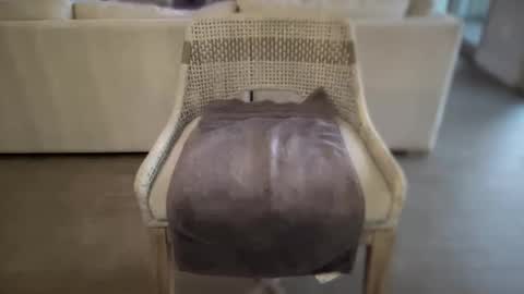 assfucklovee online show from December 16, 2:49 pm