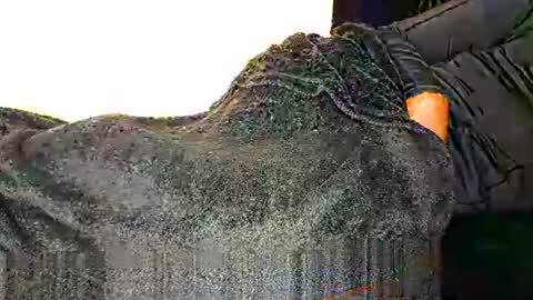 Assiology online show from March 12, 8:41 pm