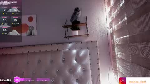 Snapshot of atenea_klett_ chatting on June 22, 2:14 pm ATENEA online show from June 22, 2:14 pm
