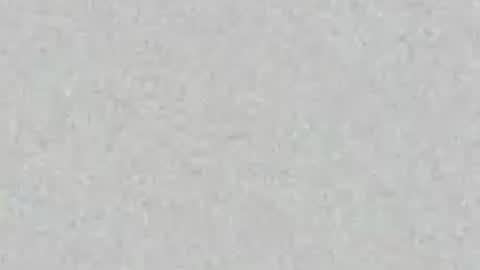 Carolina online show from July 9, 11:58 am