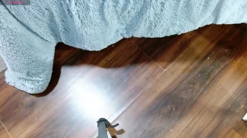 Aurora online show from January 28, 12:32 pm