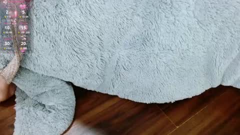 Aurora online show from January 29, 12:45 pm