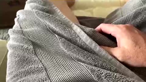 Aussie fatcock online show from April 5, 12:52 am