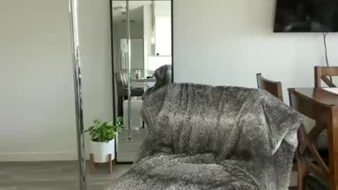 Little Ava  online show from April 15, 7:58 pm