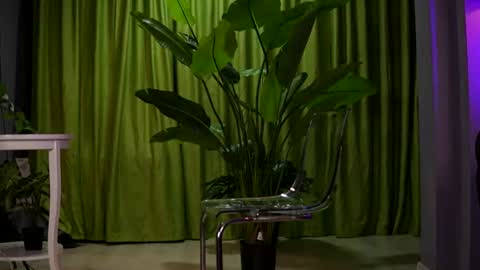 Snapshot of ava_solis chatting on August 2, 7:23 pm Ava online show from August 2, 7:23 pm