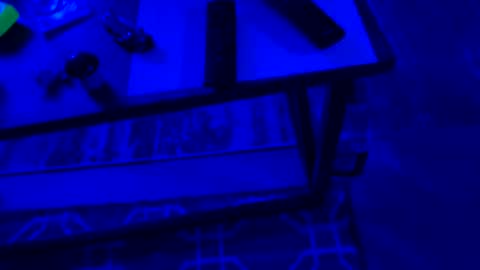 Snapshot of ayla_ty chatting on September 28, 6:30 am AylaTy online show from September 28, 6:30 am