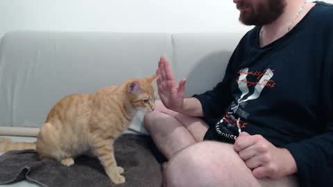 Azer online show from November 28, 10:56 pm