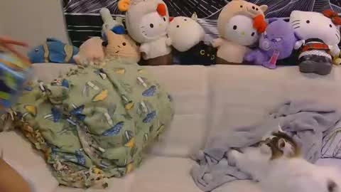 Snapshot of aznp1ea5er chatting on February 19, 4:19 am aznp1ea5er online show from February 19, 4:19 am