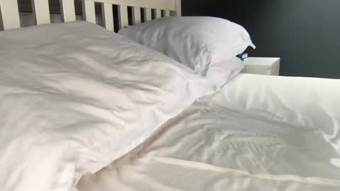 Snapshot of b1gd0ng1111 chatting on September 17, 9:44 am b1gd0ng1111 online show from September 17, 9:44 am