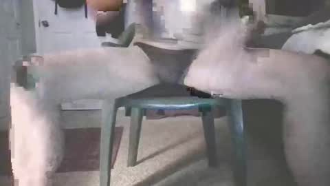 Snapshot of b_johnson420 chatting on November 16, 8:42 am bjohnson420 online show from November 16, 8:42 am