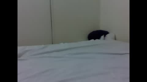 Snapshot of baby_lucky35865 chatting on April 26, 4:37 pm needoh online show from April 26, 4:37 pm