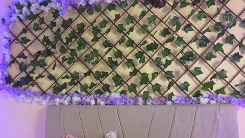 Snapshot of baby_xian chatting on December 19, 2:45 am Dani online show from December 19, 2:45 am