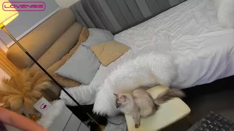 Snapshot of babygoddess4u chatting on October 27, 1:48 pm ASK ME IN PM online show from October 27, 1:48 pm