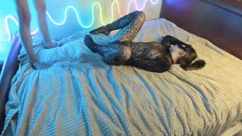 bada_b1ng online show from December 7, 2:35 pm