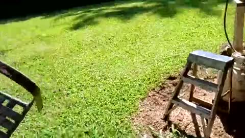 ballshanginglowaf online show from September 19, 7:36 pm