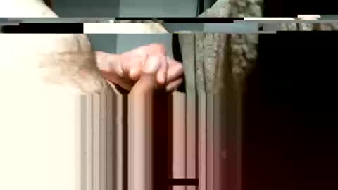 balthazar7676 online show from January 3, 10:31 am