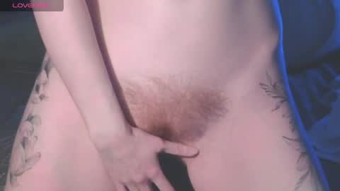 . online show from April 10, 3:17 pm