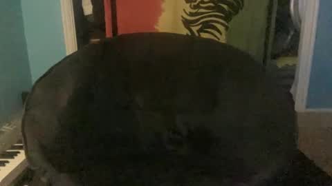 bananaboy420720 online show from September 16, 6:14 am