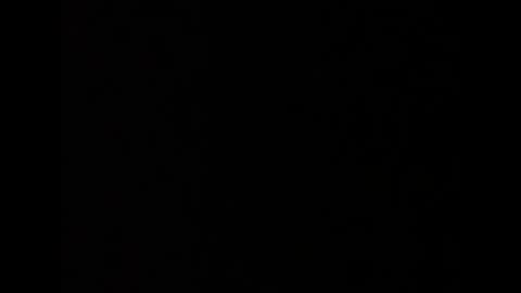 barbarosarslanlar online show from September 20, 12:06 pm