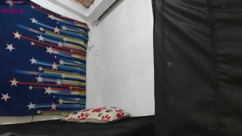 Barbie online show from February 6, 6:55 pm