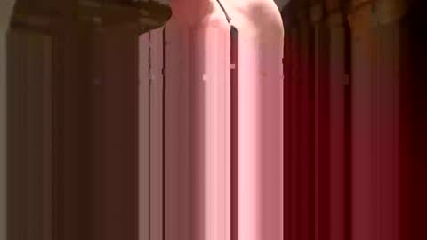 barryditches online show from December 1, 6:46 pm