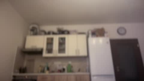 Snapshot of bary_czech chatting on February 5, 7:53 pm BestBoy online show from February 5, 7:53 pm