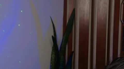 Snapshot of bastiel_ chatting on May 27, 1:57 am Bastiel online show from May 27, 1:57 am