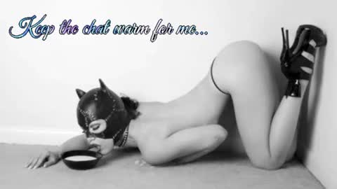Snapshot of batmansfavoritewife chatting on July 5, 7:15 am Your always sexy Harley online show from July 5, 7:15 am