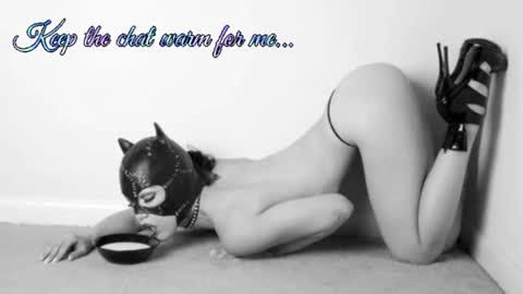 Snapshot of batmansfavoritewife chatting on July 8, 8:19 am Your always sexy Harley online show from July 8, 8:19 am