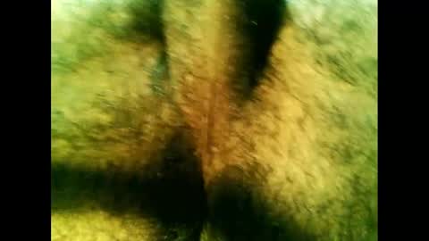 Snapshot of bayfall chatting on December 14, 10:28 pm bayfall online show from December 14, 10:28 pm